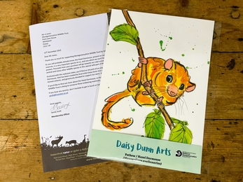Dormouse print and letter_edited