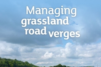 Cover shot of Plantlife's 'Managing grassland road verges' best practice guide document