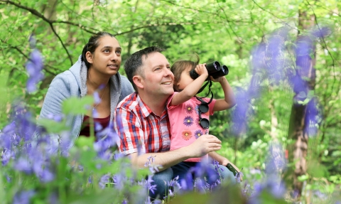 People and bluebells copyright Tom Marshall