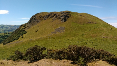 Roundton Hill National Nature Reserve