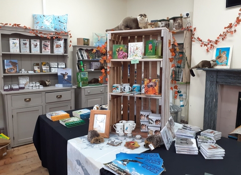 Montgomeryshire Wildlife Shop laid out with nature-inspired gifts and books