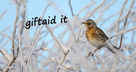 Giftaid it header featuring Fieldfare in winter