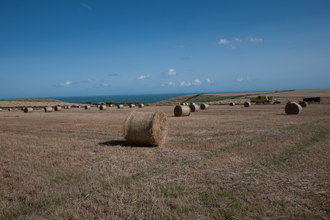 Arable field