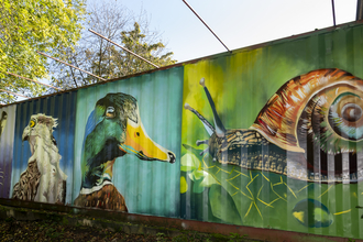 Graffiti mural at Severn Farm Pond Nature Reserve, Welshpool 