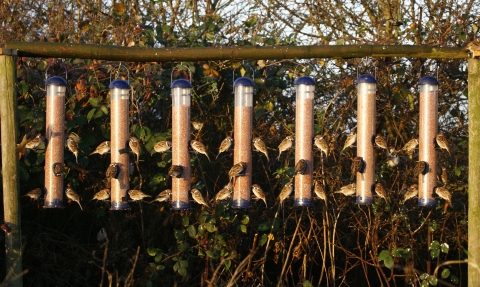 vine house farm bird feeders