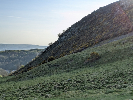 Eastern slopes of Roundton Hill