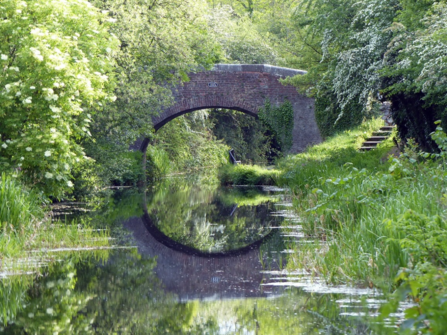 Summery scene of bridge over the Montgomery Canal with reflection in the water and blossom on trees