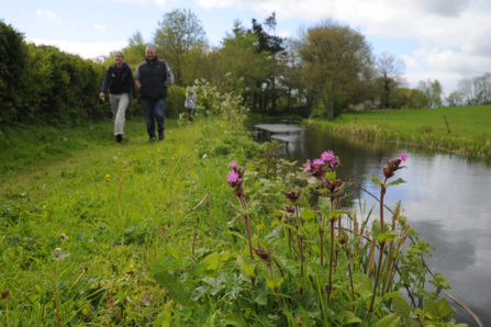 People walking along the Montgomery Canal towpath with flowers in the foreground