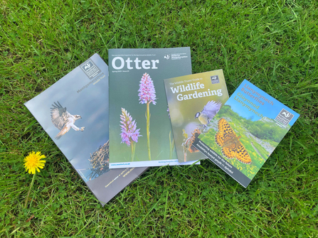 Membership pack for Montgomeryshire Wildlife Trust spread out on grass