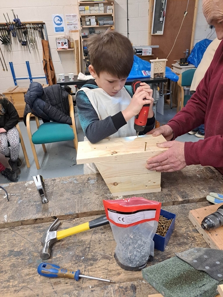 Little boy learning how to build bird box