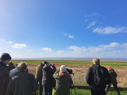 A photo from behind of a group of bird watchers looking out over an estuary