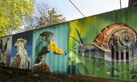 Graffiti mural at Severn Farm Pond Nature Reserve, Welshpool 