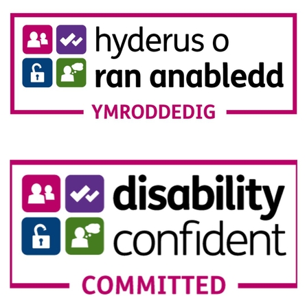 Welsh and English Diability Confident Logos